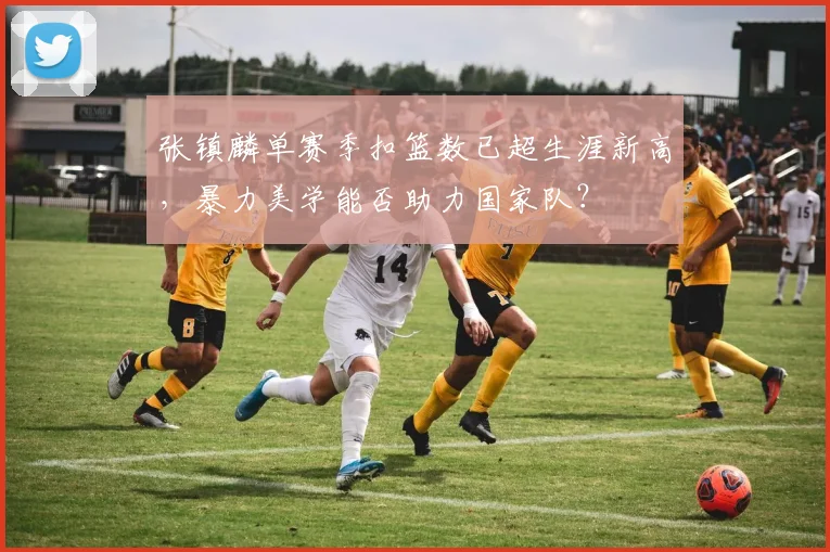 张镇麟单赛季扣篮数已超生涯新高,暴力美学能否助力国家队?