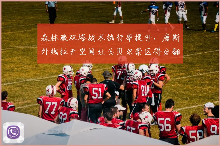 森林狼双塔战术执行率提升,唐斯外线拉开空间让戈贝尔禁区得分翻倍